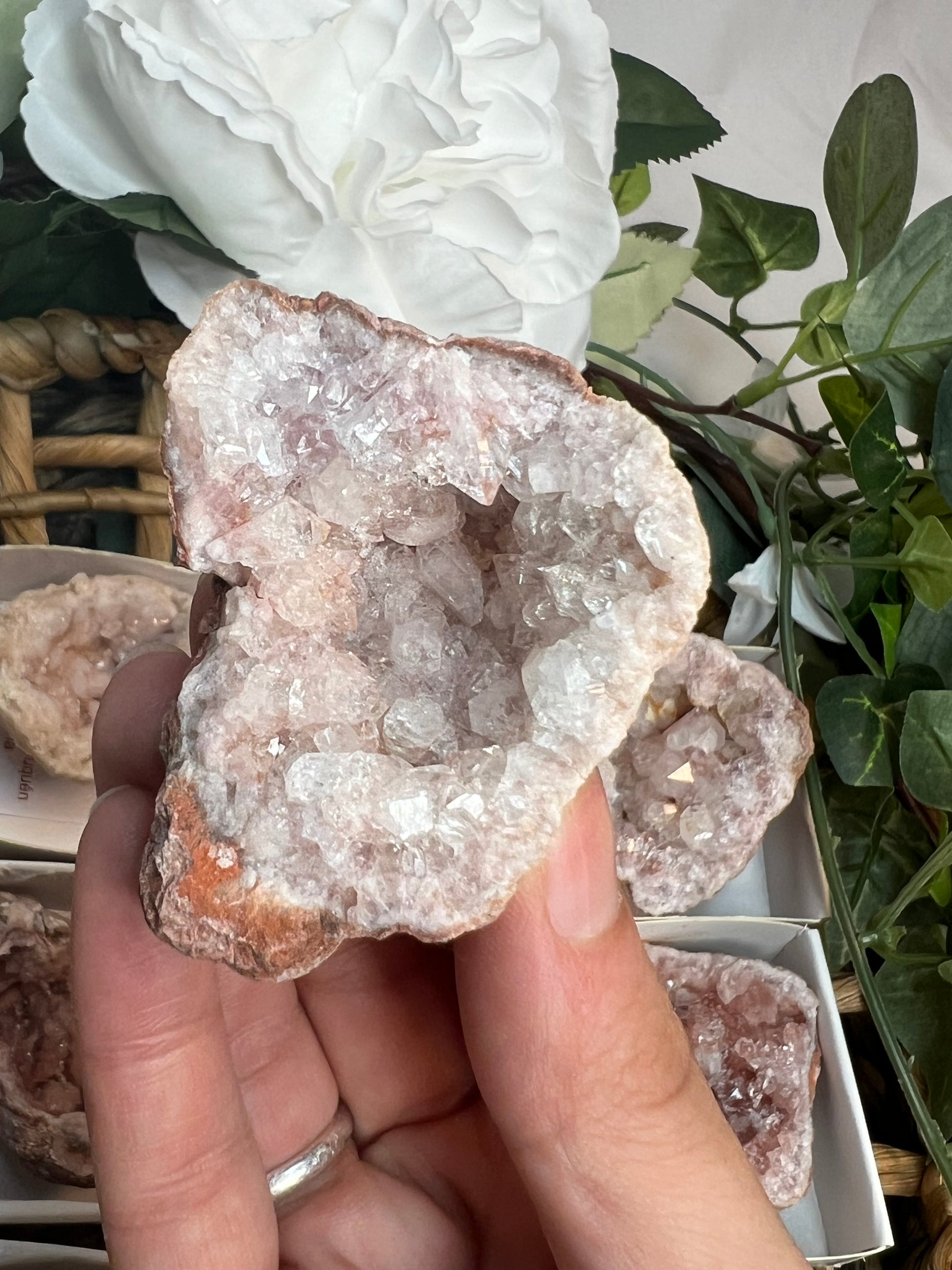 Pink Amethyst Geodes