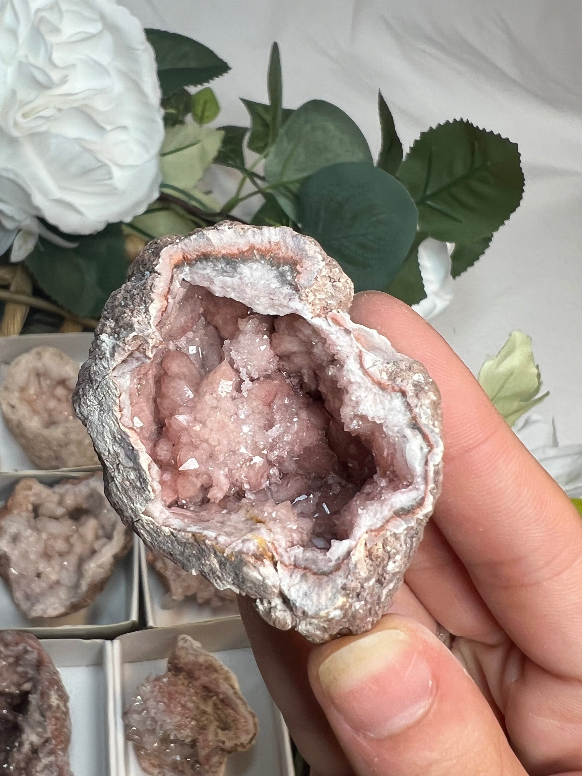 Pink Amethyst Geodes