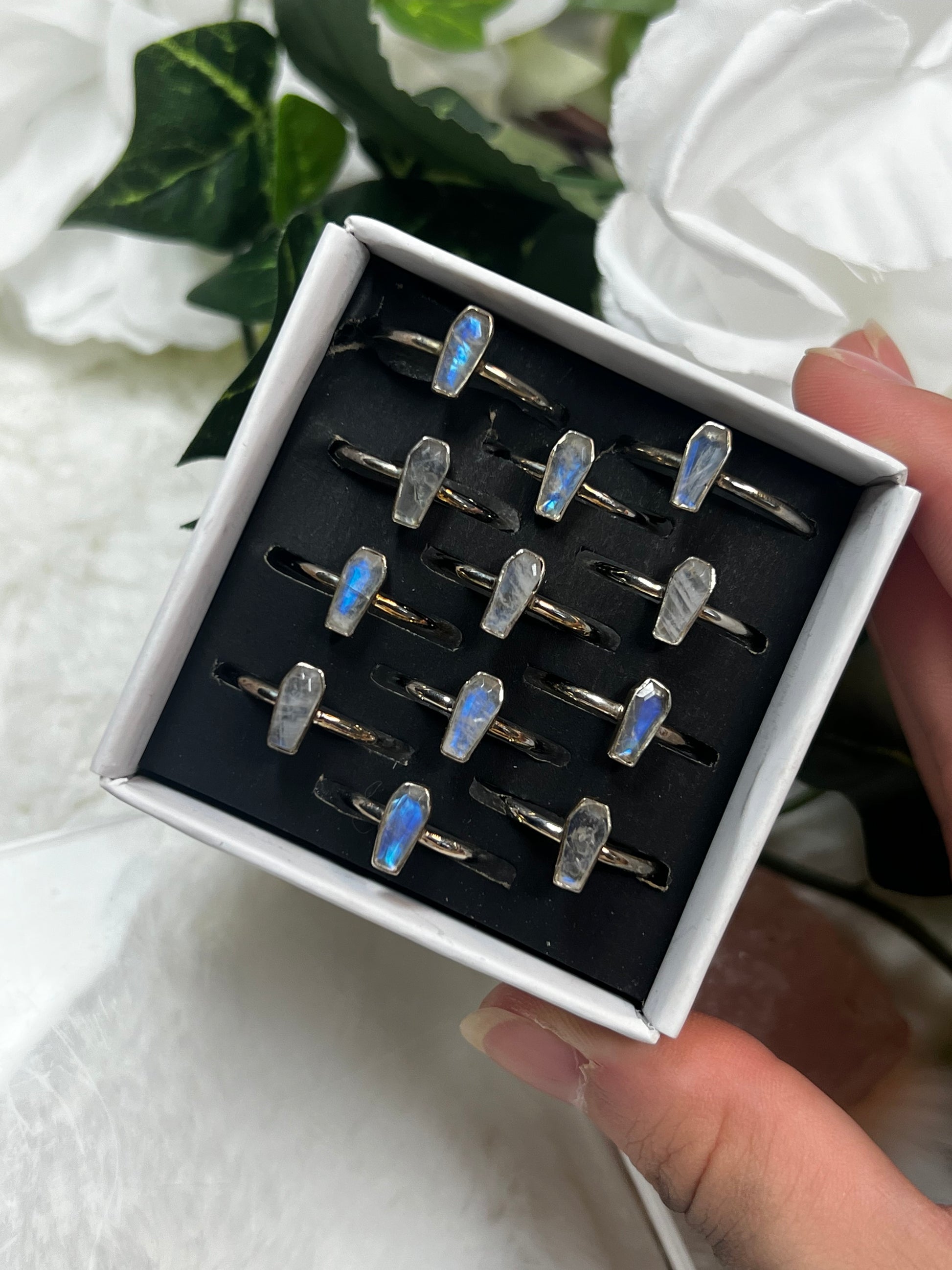 Moonstone Coffin Rings