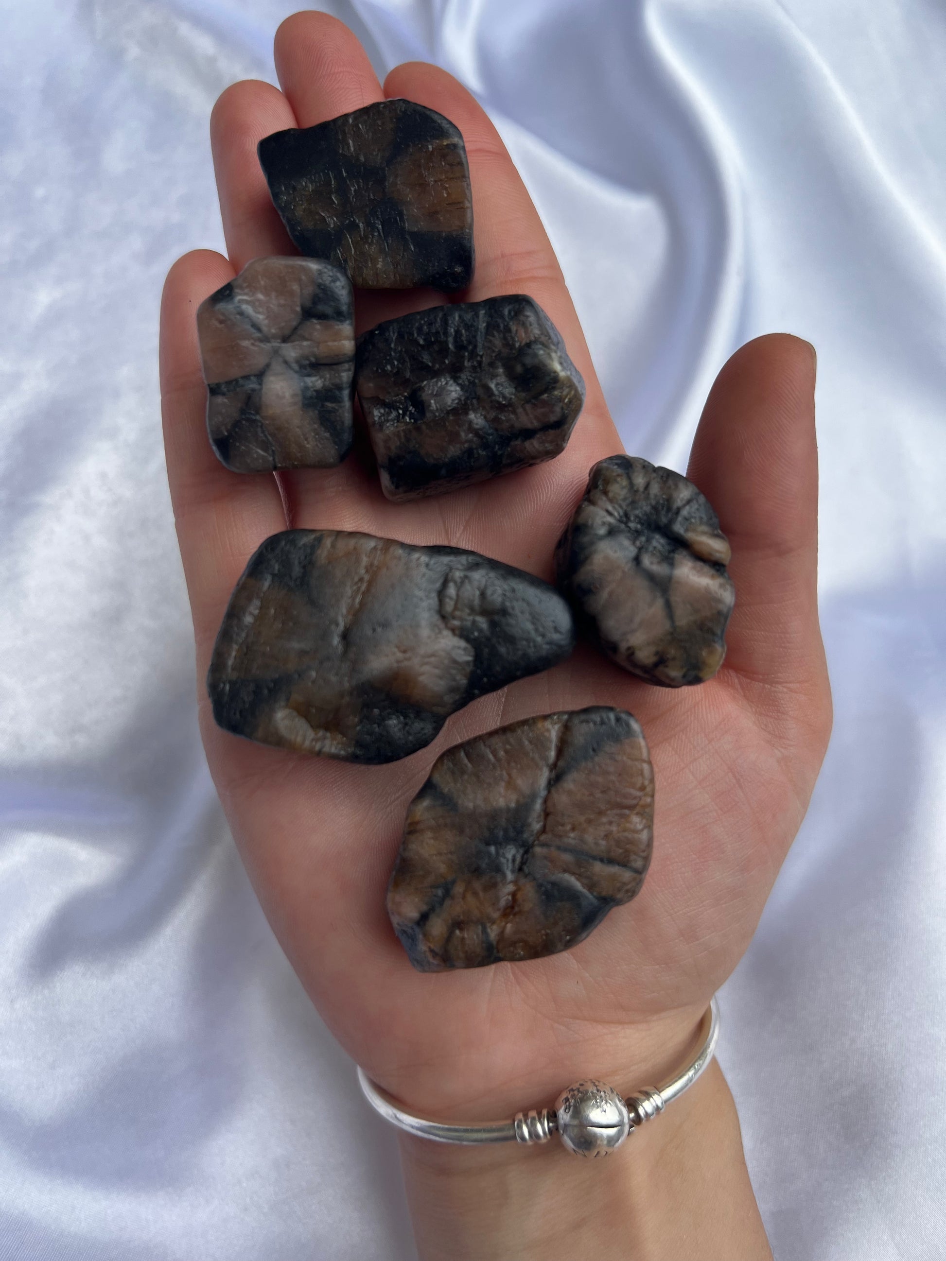 Chiastolite Half polished Pieces