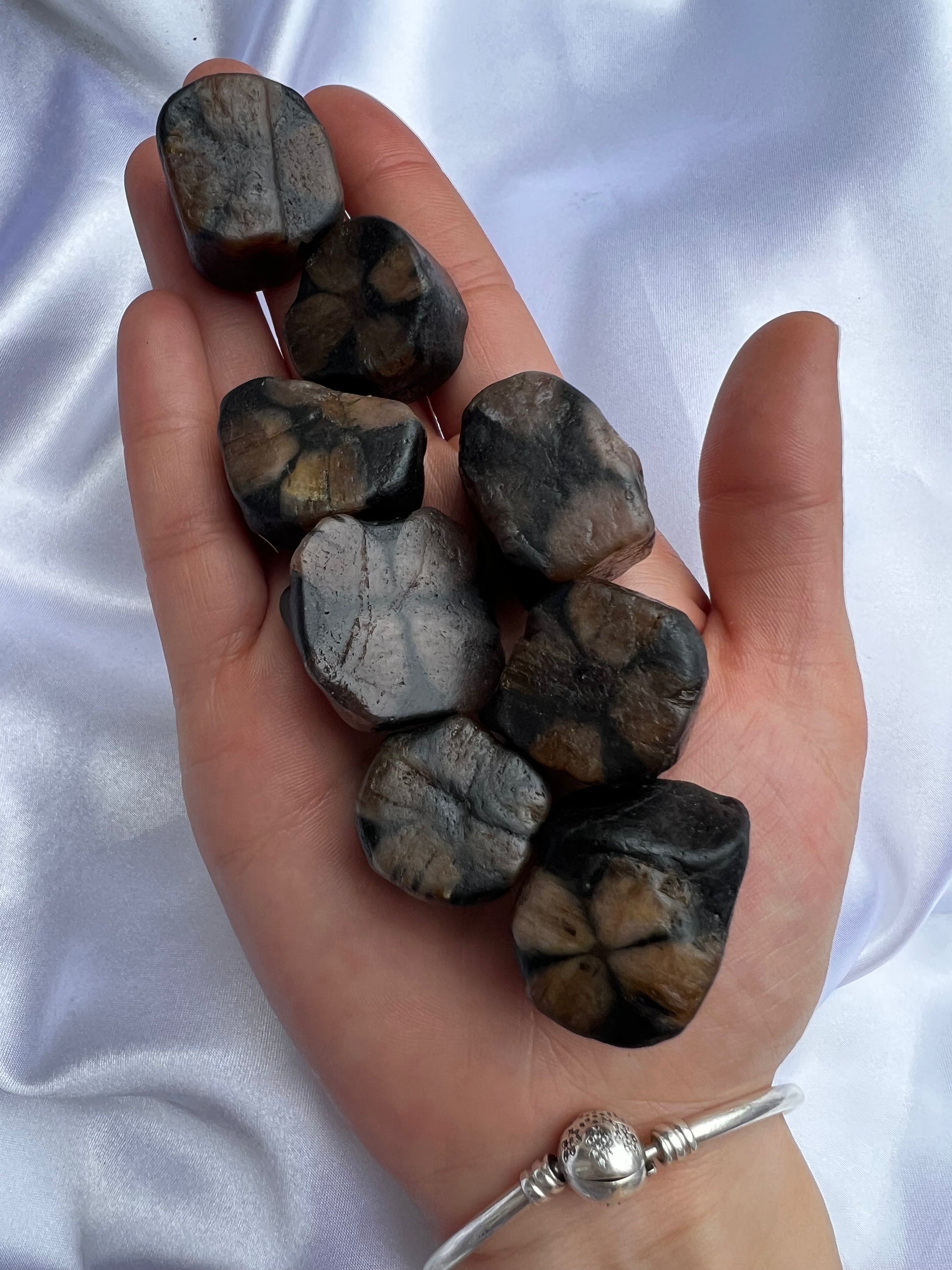 Chiastolite Half polished Pieces