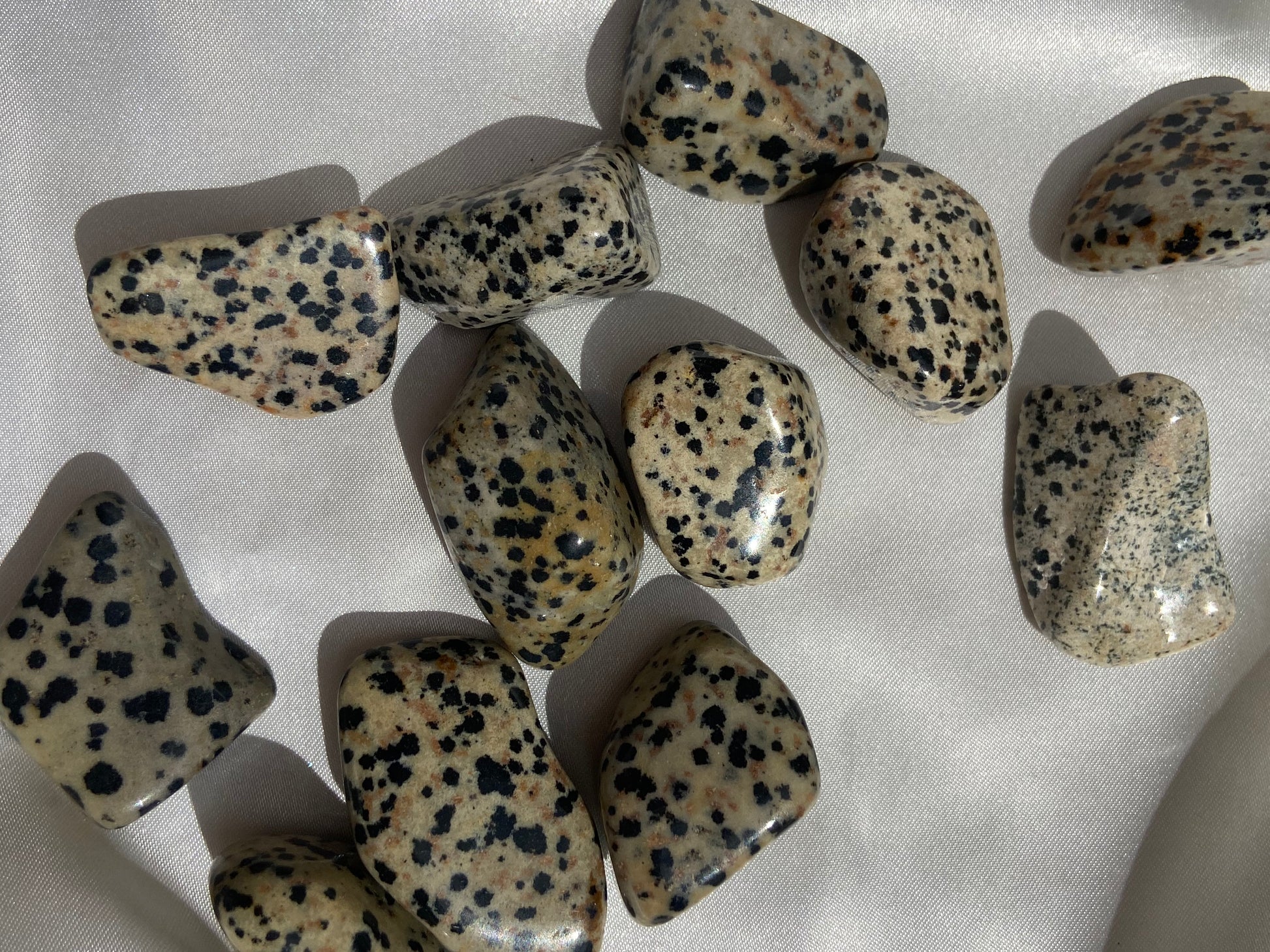Dalmatian Jasper Tumbles