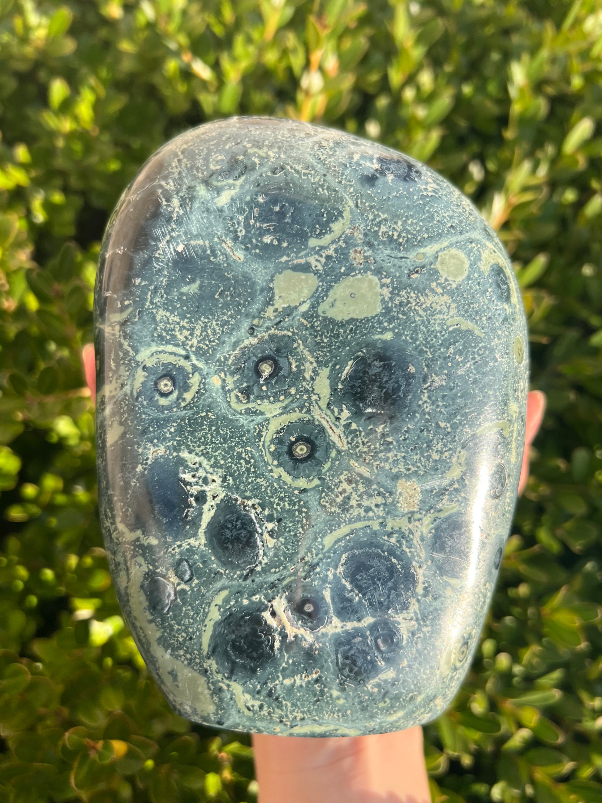 Kambaba Jasper Freeform