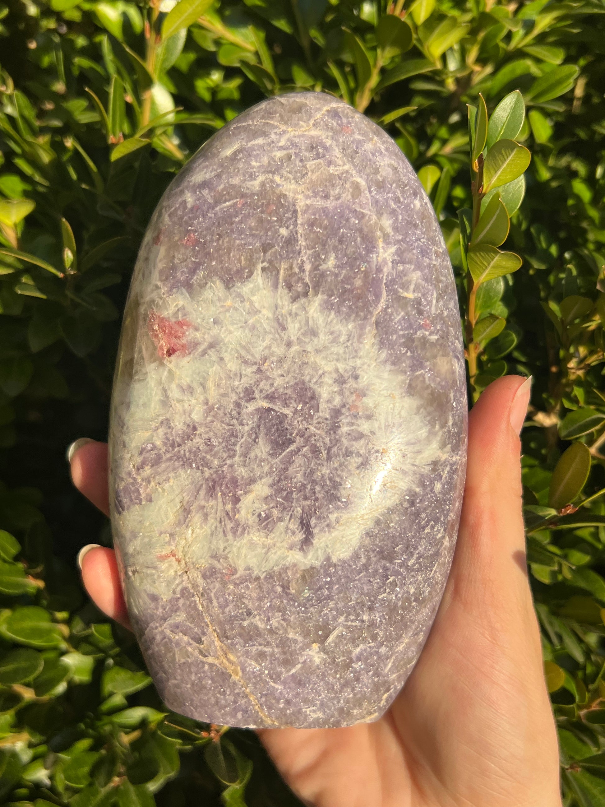Lepidolite Freeforms