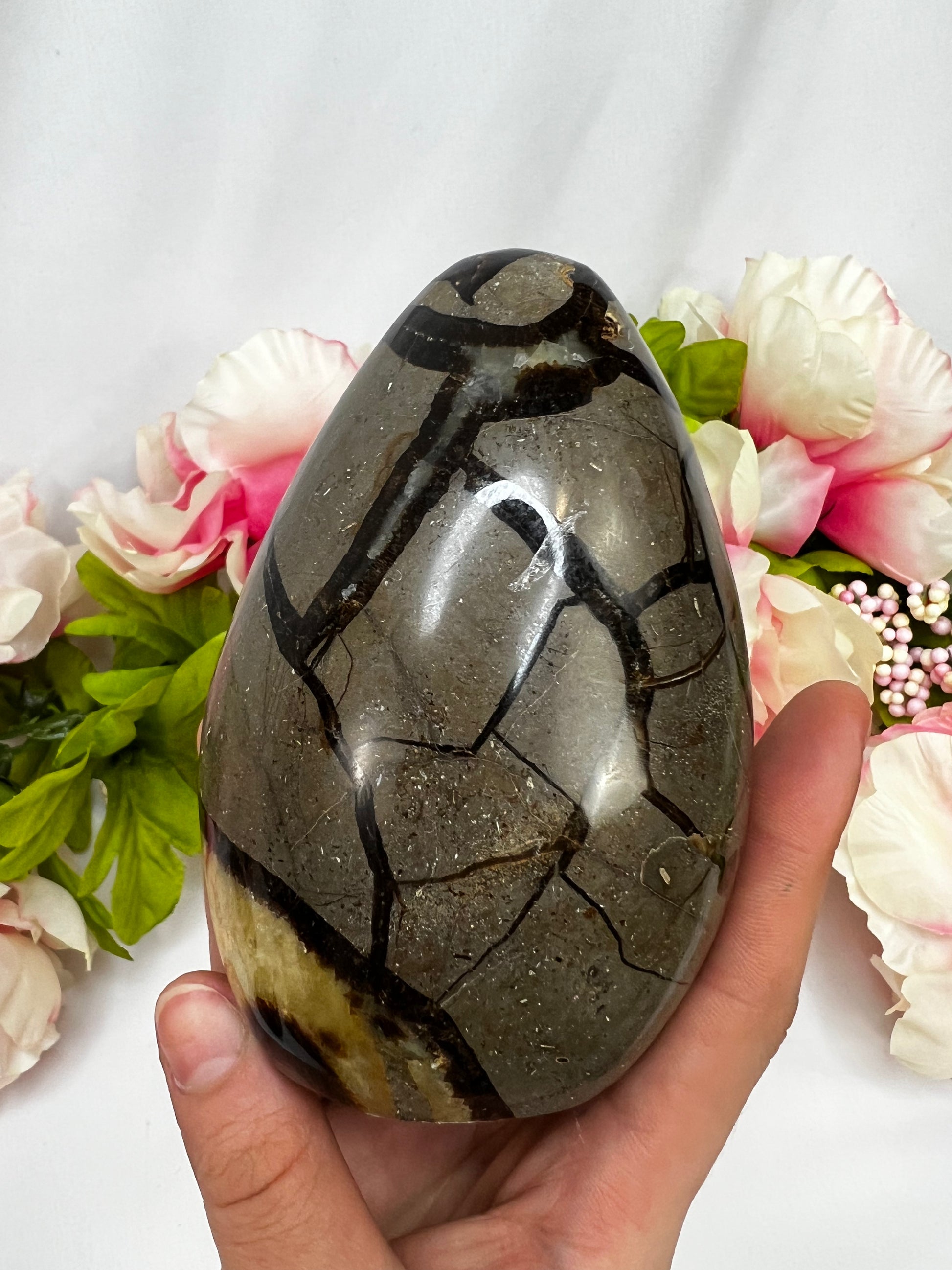 Septarian Freeforms