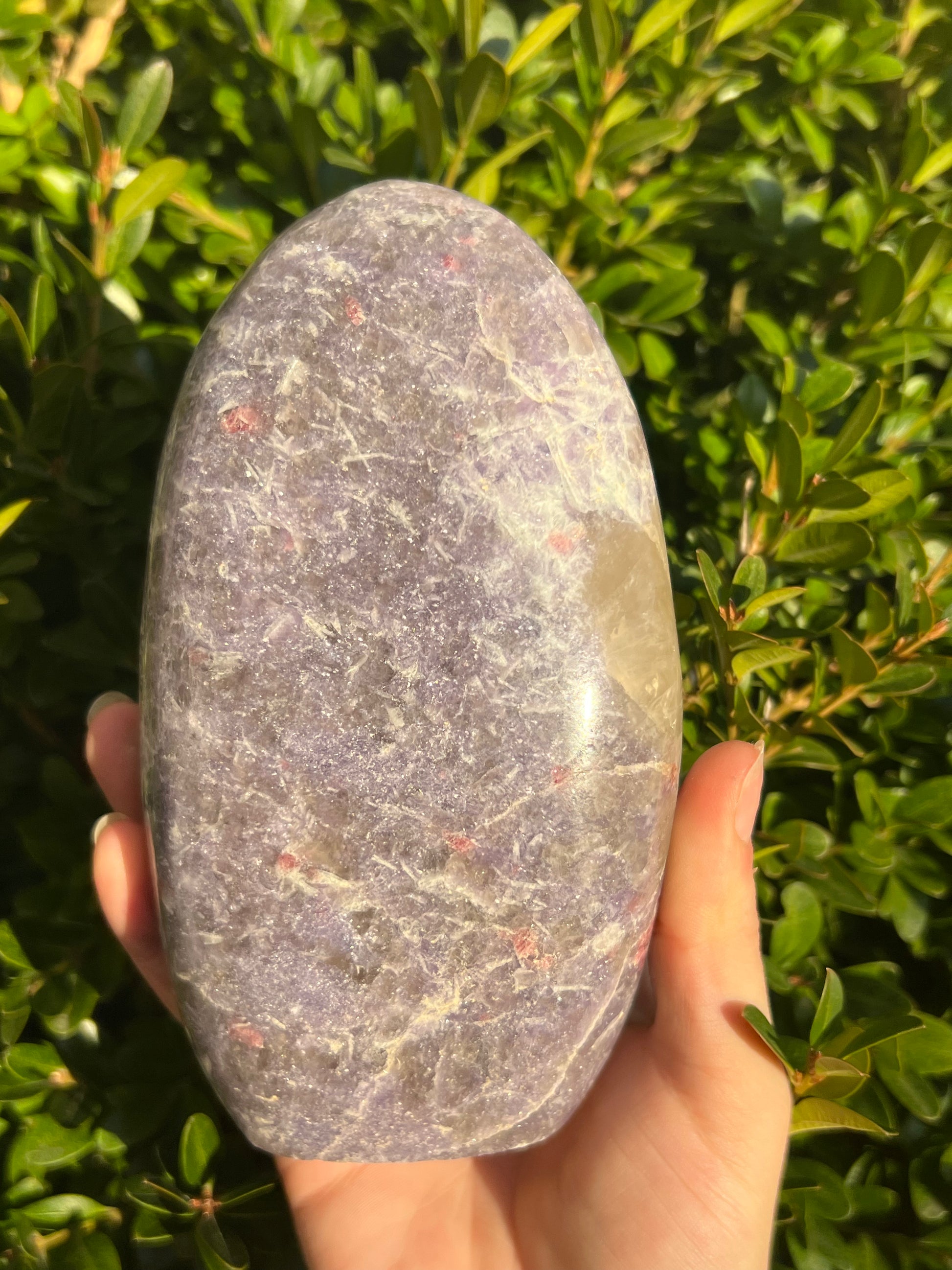 Lepidolite Freeforms