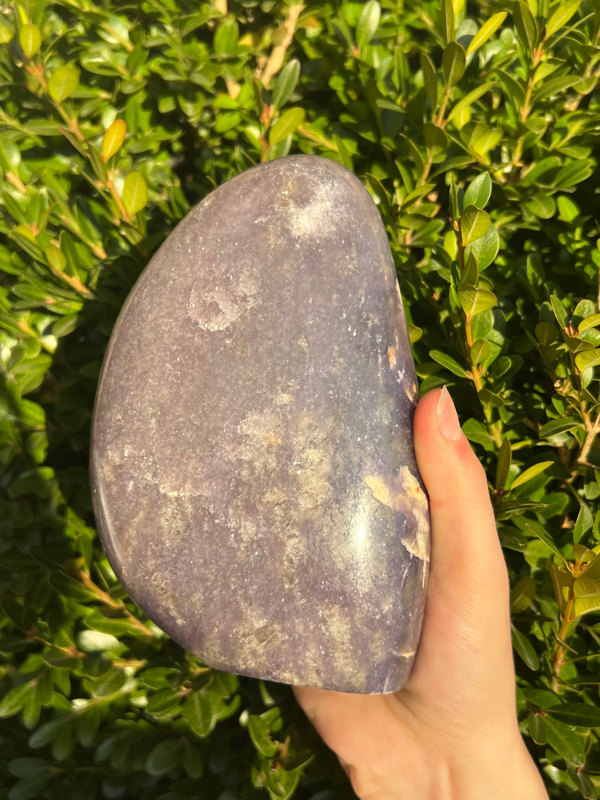 Lepidolite Freeforms