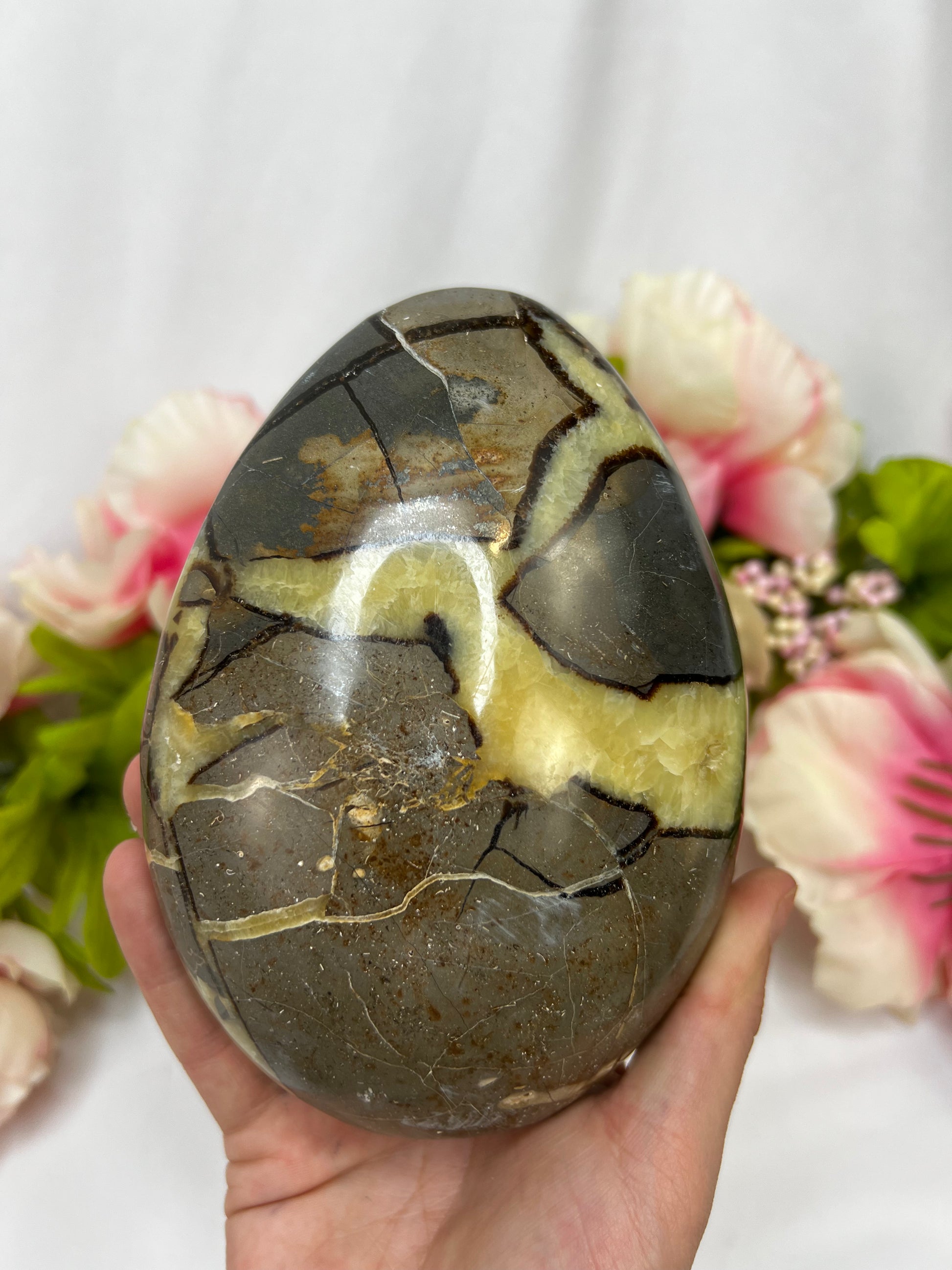 Septarian Freeforms