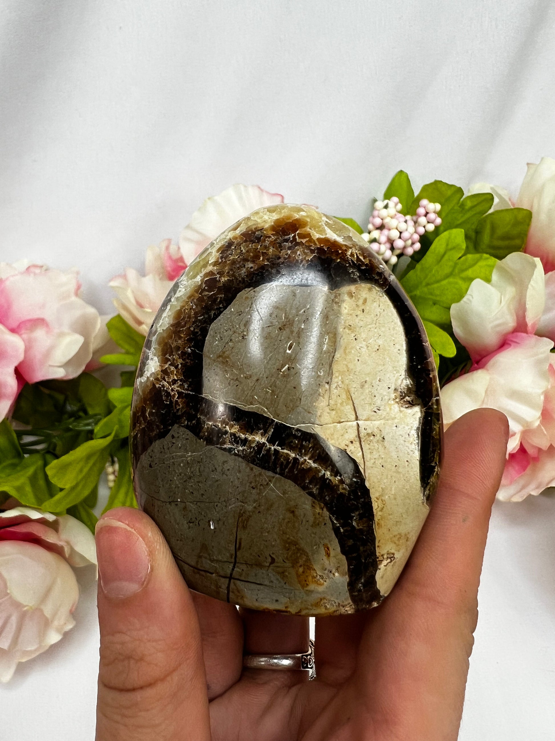 Septarian Freeforms