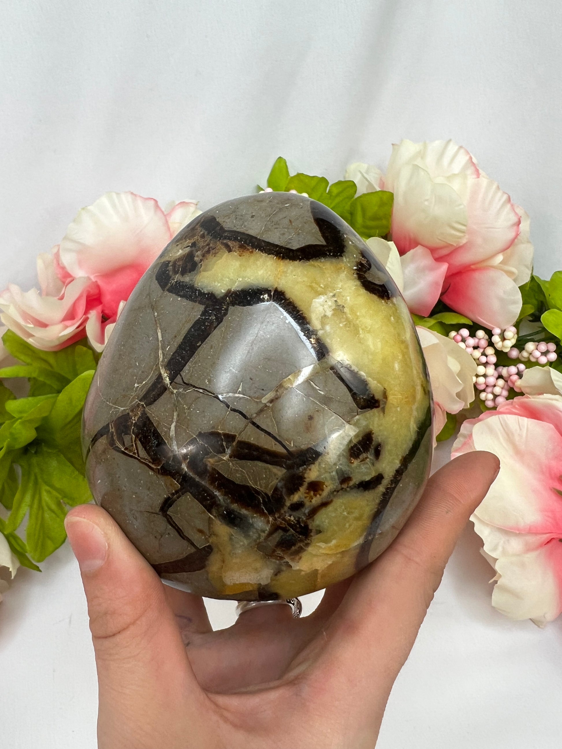 Septarian Freeforms