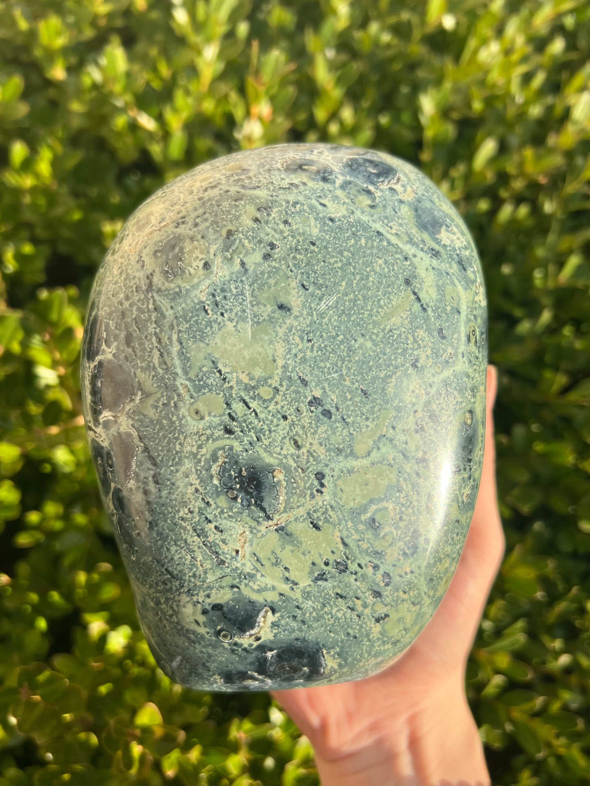Kambaba Jasper Freeform