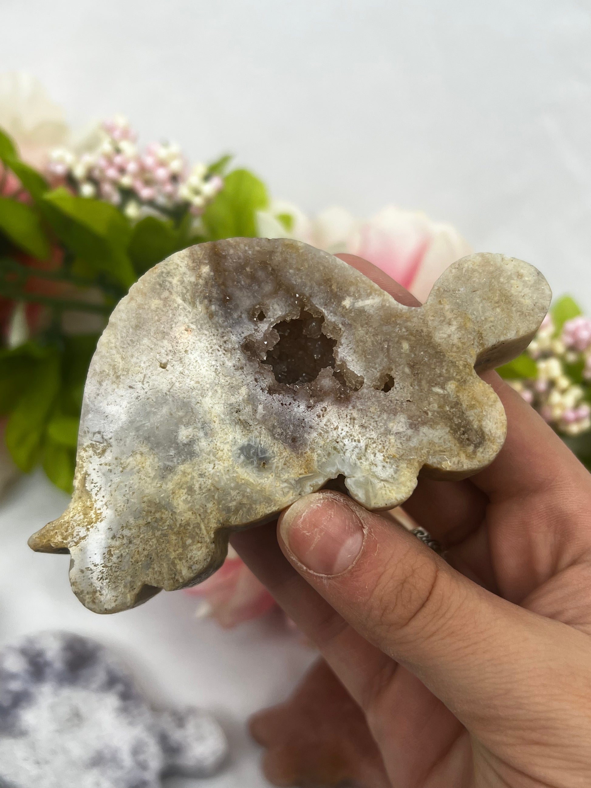 Pink Amethyst Turtles