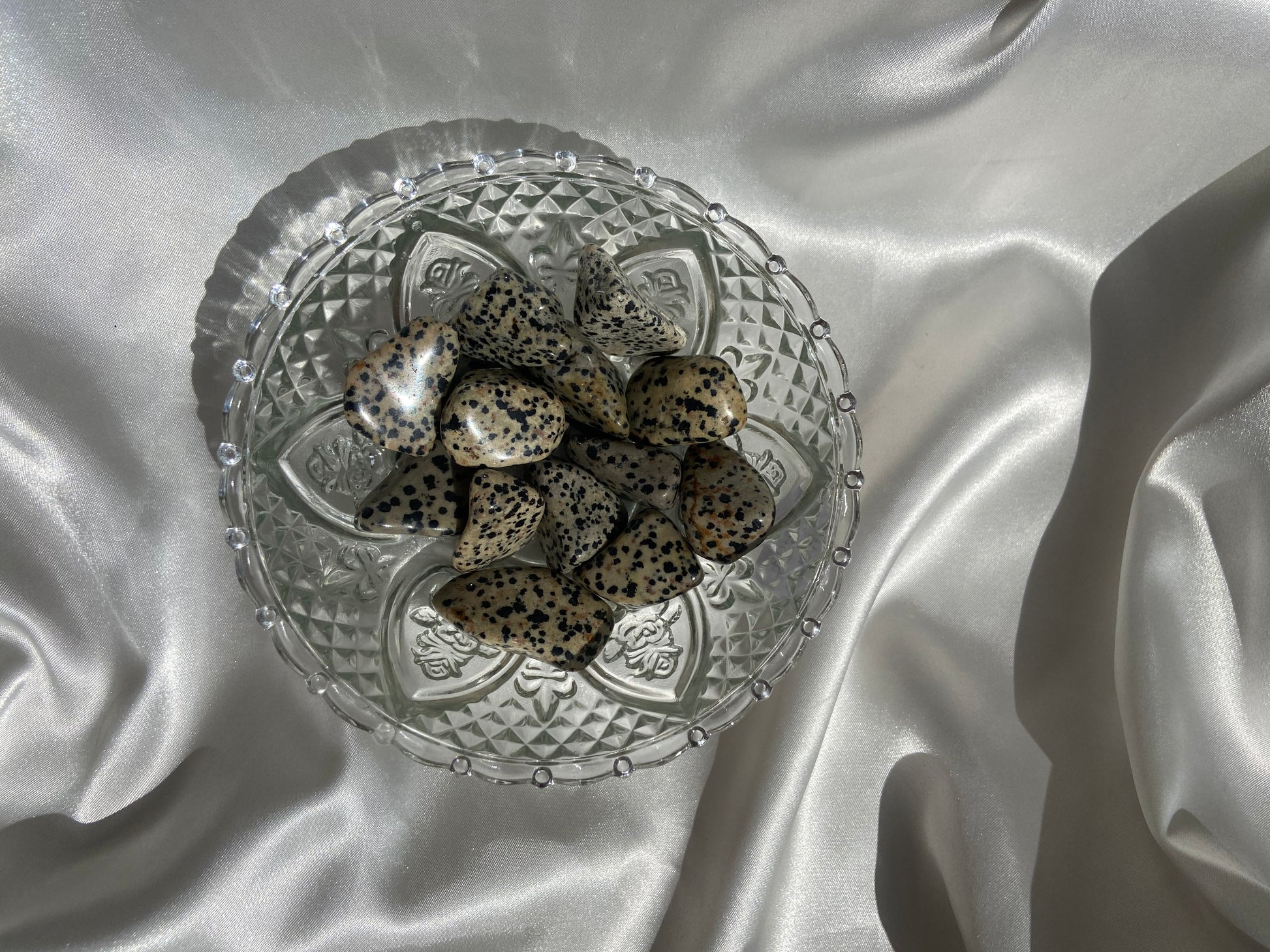 Dalmatian Jasper Tumbles