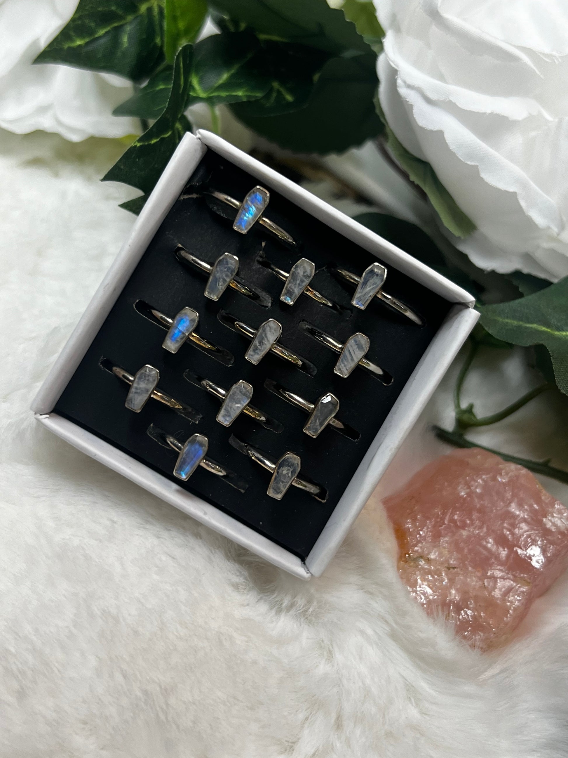 Moonstone Coffin Rings