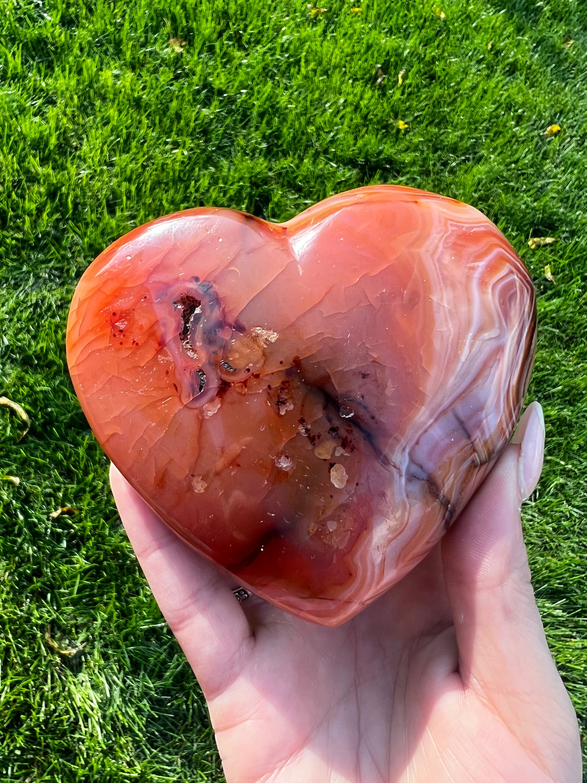 Carnelian Hearts