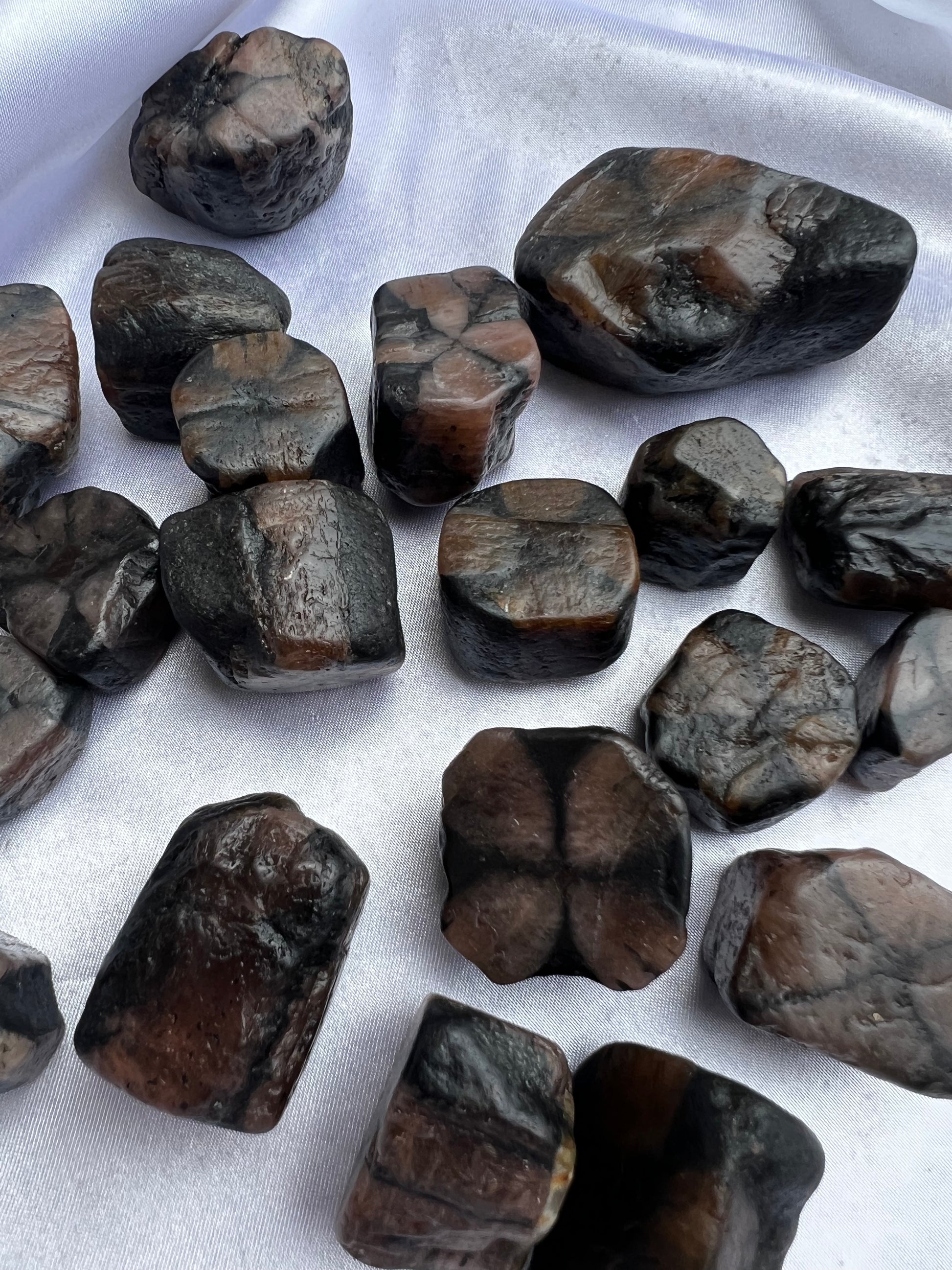 Chiastolite Half polished Pieces