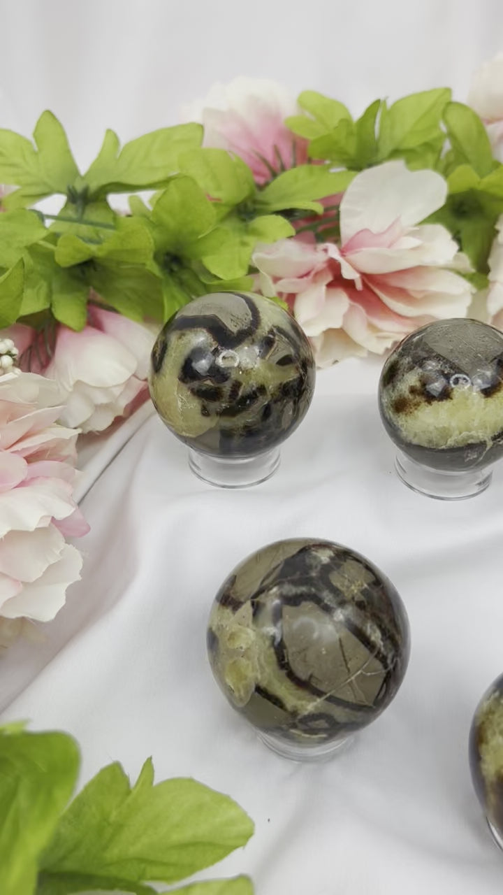 Septarian Spheres