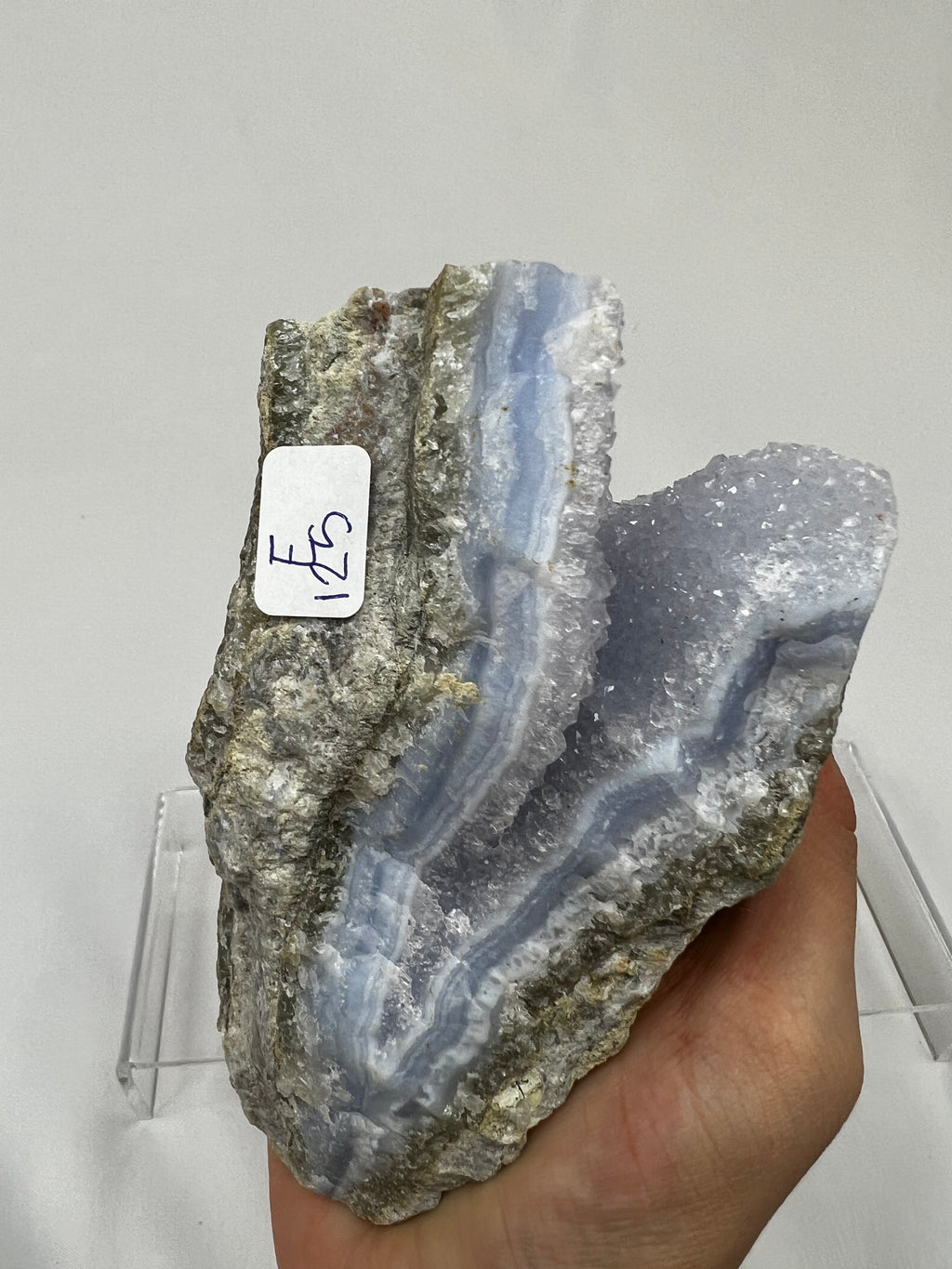 Blue lace “E”