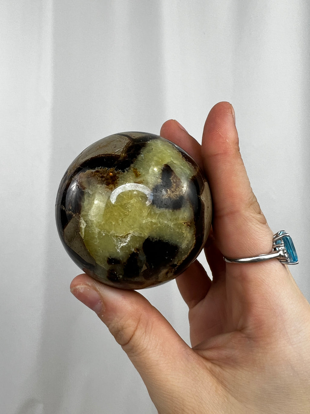 Septarian Spheres