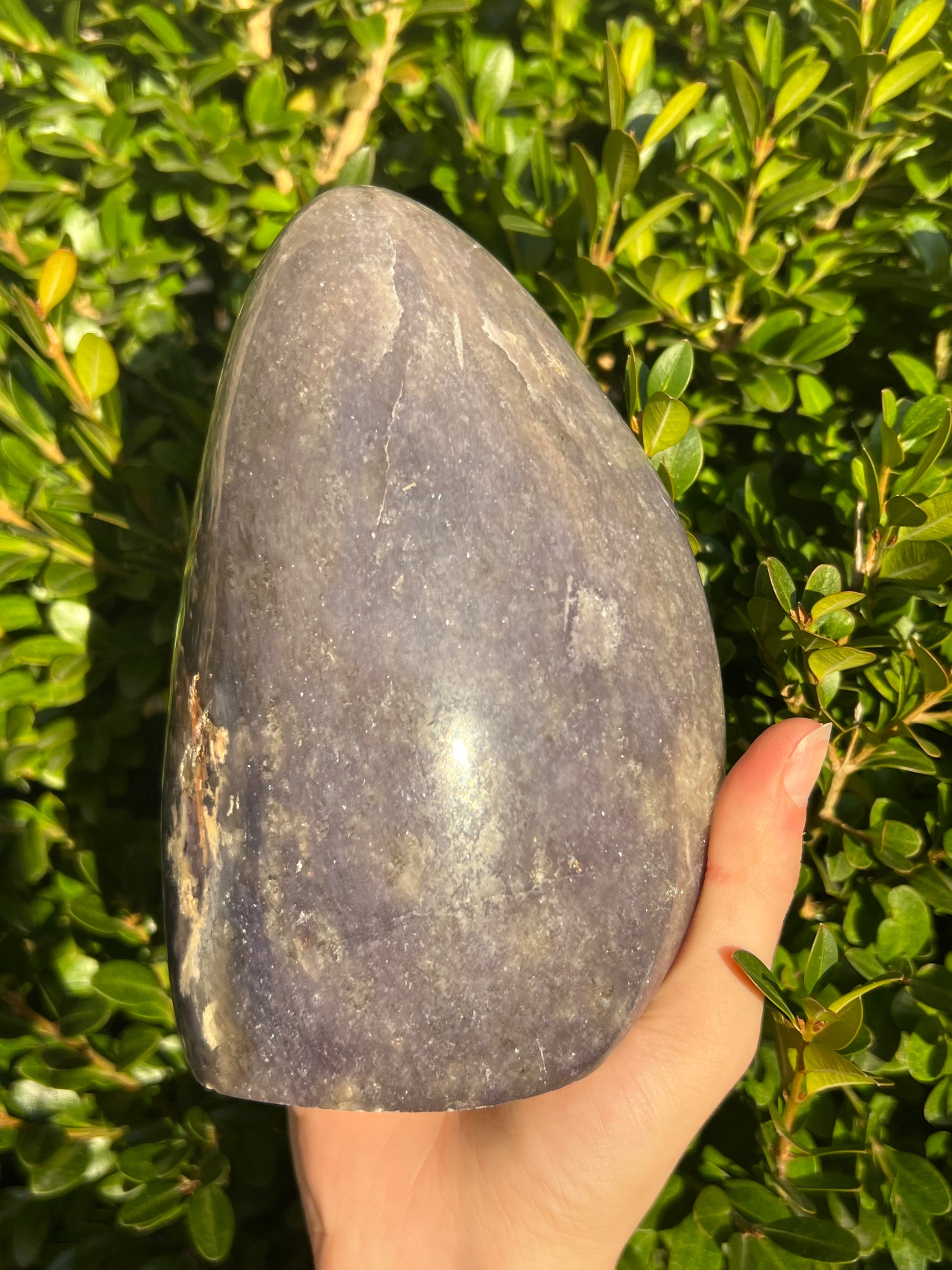 Lepidolite Freeforms