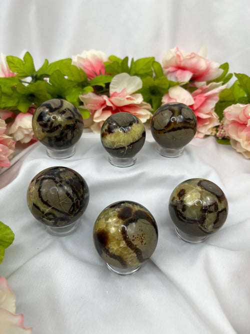 Septarian Spheres