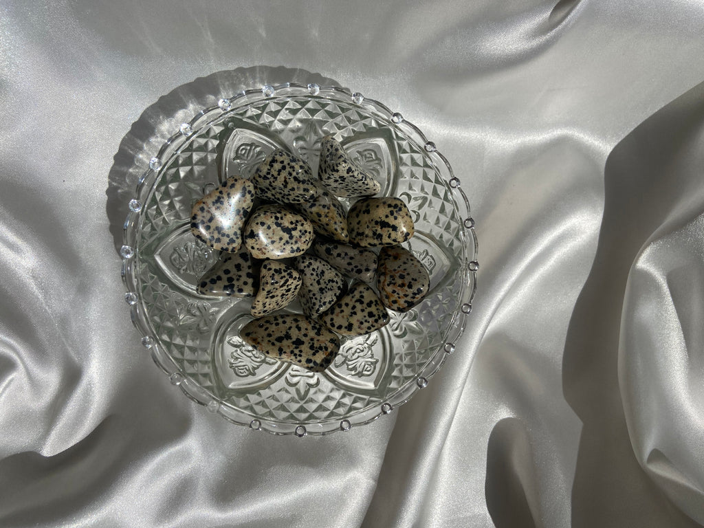 Dalmatian Jasper Tumbles
